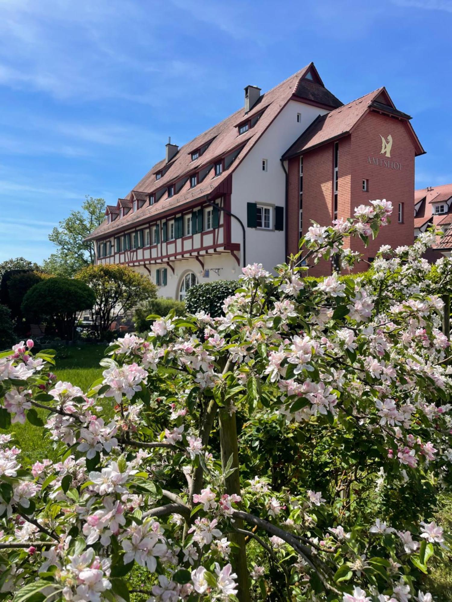 Seehotel Amtshof Langenargen Exterior foto